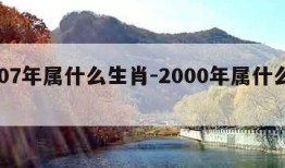 2007年属什么生肖-2000年属什么生肖