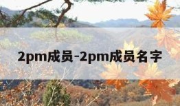 2pm成员-2pm成员名字