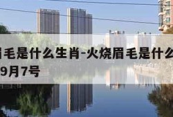 火烧眉毛是什么生肖-火烧眉毛是什么生肖2021年9月7号