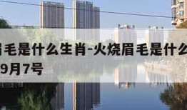 火烧眉毛是什么生肖-火烧眉毛是什么生肖2021年9月7号