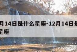 11月14日是什么星座-12月14日是什么星座