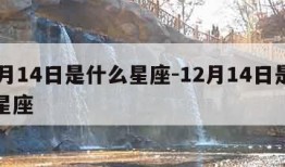 11月14日是什么星座-12月14日是什么星座