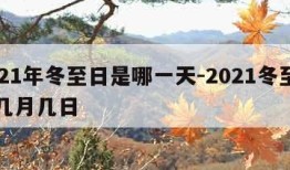 2021年冬至日是哪一天-2021冬至日是几月几日