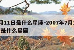 7月11日是什么星座-2007年7月11日是什么星座