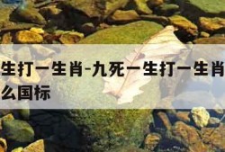 九死一生打一生肖-九死一生打一生肖最佳答案是什么国标