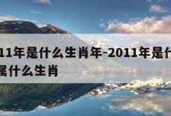 2011年是什么生肖年-2011年是什么年属什么生肖