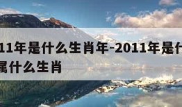 2011年是什么生肖年-2011年是什么年属什么生肖