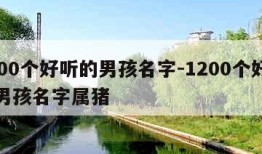 1200个好听的男孩名字-1200个好听的男孩名字属猪