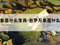 包罗万象是什么生肖-包罗万象是什么生肖啊动物