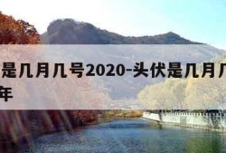 头伏是几月几号2020-头伏是几月几号2020年