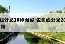 生命线分叉20种图解-生命线分叉20种图解 中端