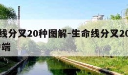 生命线分叉20种图解-生命线分叉20种图解 中端