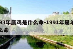 1993年属鸡是什么命-1991年属羊是什么命