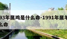 1993年属鸡是什么命-1991年属羊是什么命