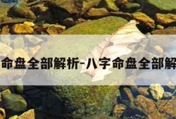 八字命盘全部解析-八字命盘全部解析图