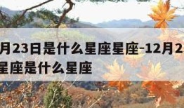 12月23日是什么星座星座-12月23日的星座是什么星座