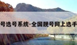 全国靓号选号系统-全国靓号网上选手机号码