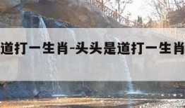 头头是道打一生肖-头头是道打一生肖相关动物