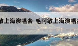 毛阿敏上海演唱会-毛阿敏上海演唱会2023