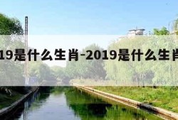 2019是什么生肖-2019是什么生肖年呀