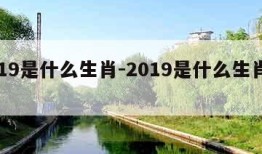 2019是什么生肖-2019是什么生肖年呀